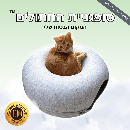 סופגניית החתולים™
